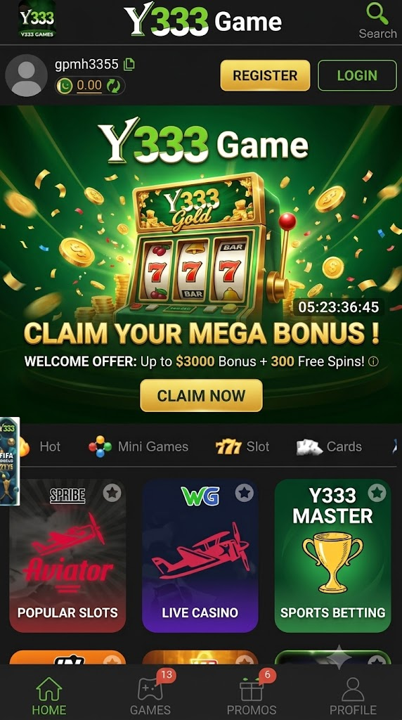 Y333 Game